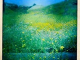 Photo-small