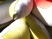 Photo-little