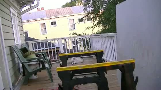 Video-77770-h264_high