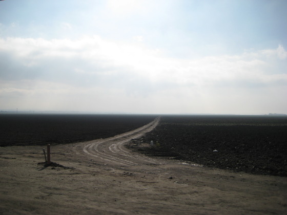 Photo-full
