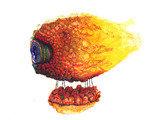 Photo-small