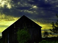 Photo-little