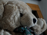 Photo-small