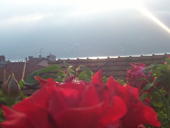 Photo-full