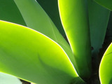 Photo-small