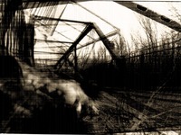 Photo-little