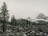 Photo-small