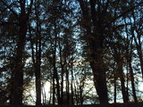 Photo-small