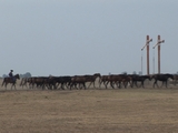 Photo-small