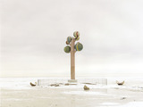 Photo-small