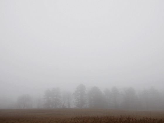 Photo-full
