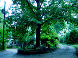 Photo-small