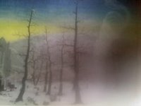 Photo-little