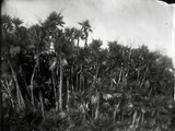Photo-small