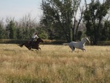Photo-small