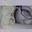 lizmoney