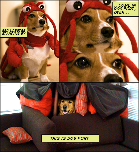 Posted Image