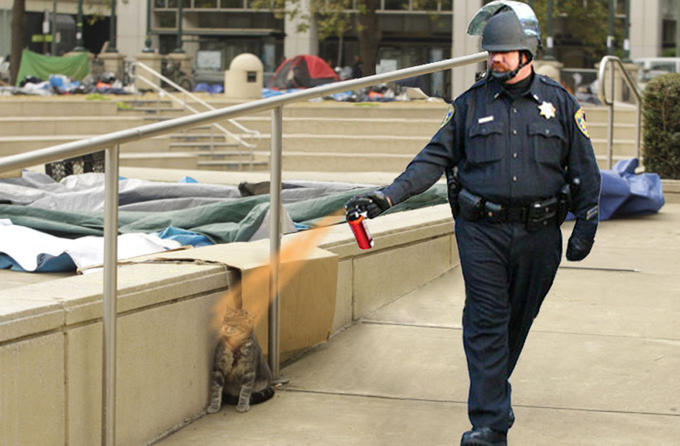 [Image: cat-n-peppa.jpg?1321913202]