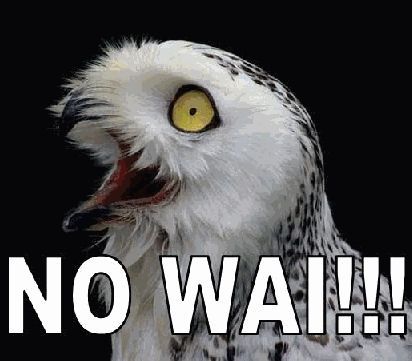 1156827791075.jpg?1241726050