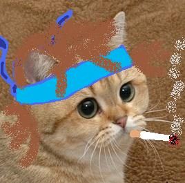 1282841246515.jpg?1282842404