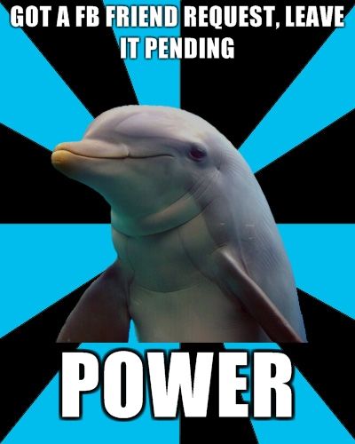 tumblr_l7lab1XSEw1qdoozso1_400.jpg