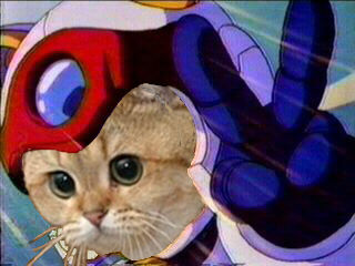 1287070471307.jpg?1288454779