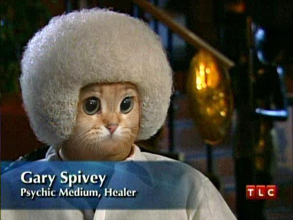 1291057933443.jpg?1291059857