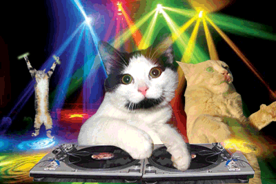 cat-party.gif?1292628992