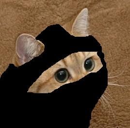 1285144267440.jpg?1303093541