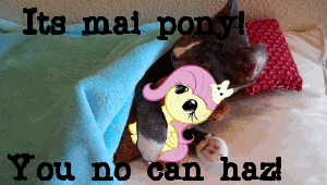 catgif1.gif?1318992465