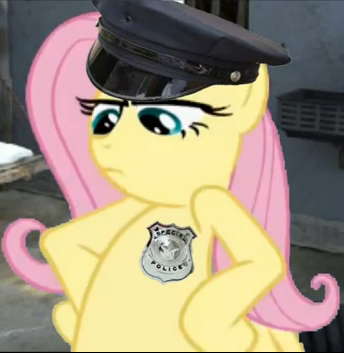 imagem.PNG?1318992465