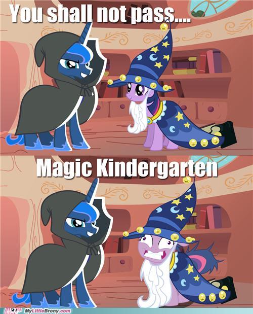 my-little-pony-friendship-is-magic-brony-you-will-not-pass.jpg?1319495477