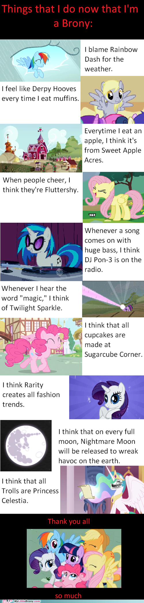my-little-pony-friendship-is-magic-brony-lessons-from-my-little-pony.png?1321738534