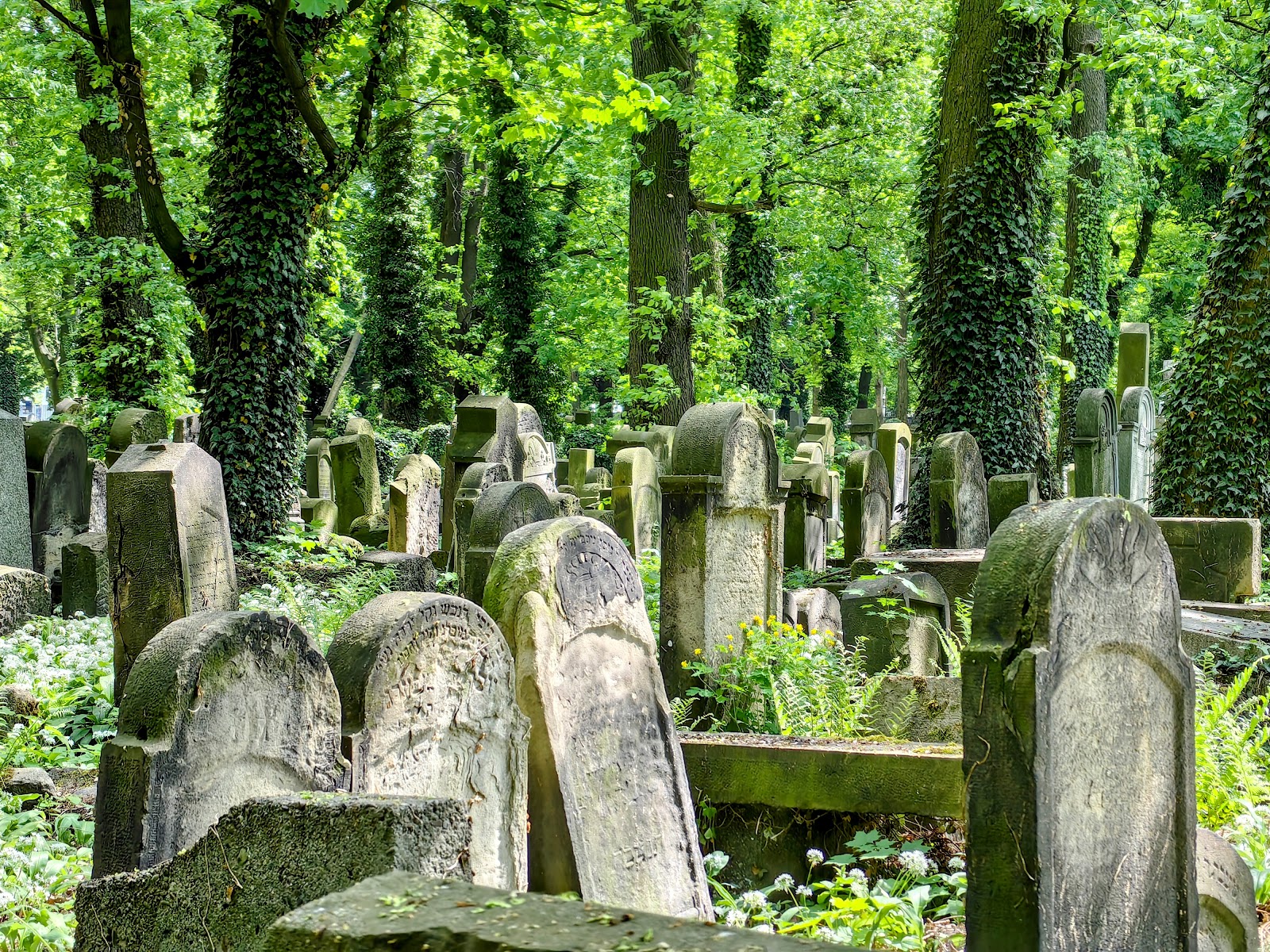 בית החיים החדש