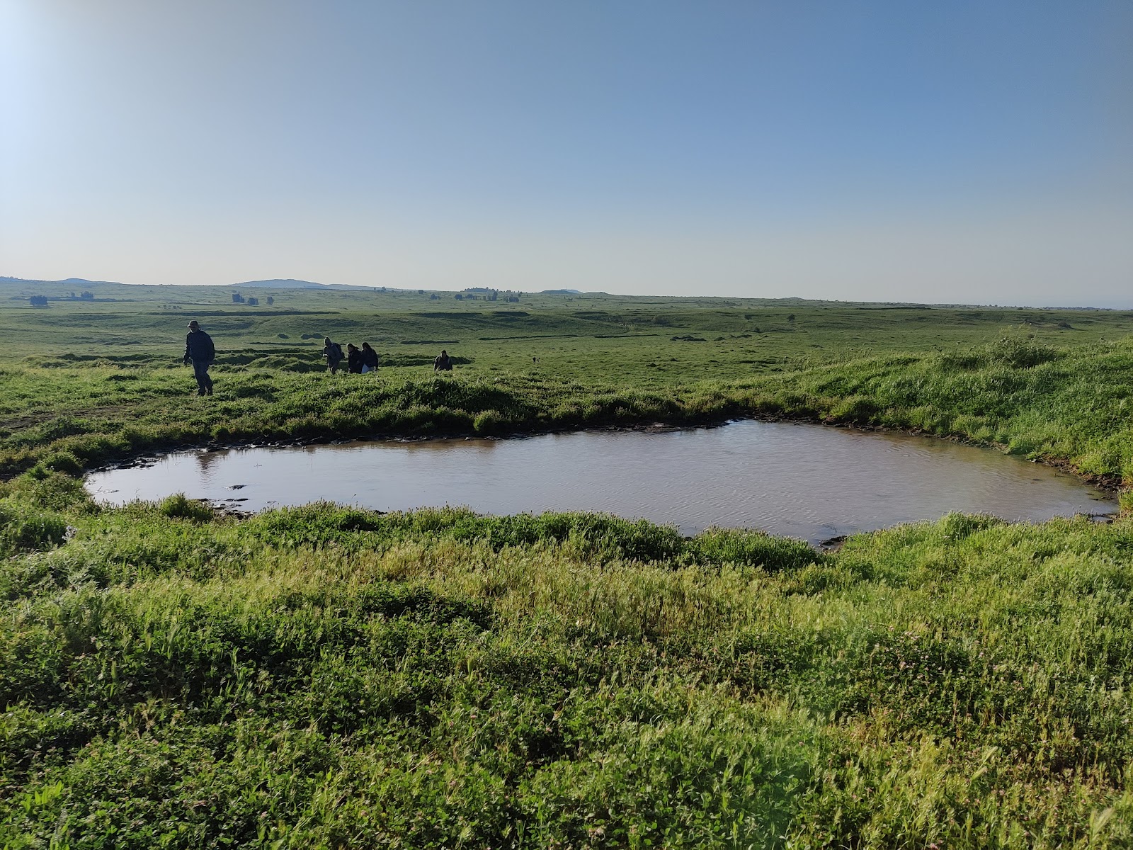 Golan