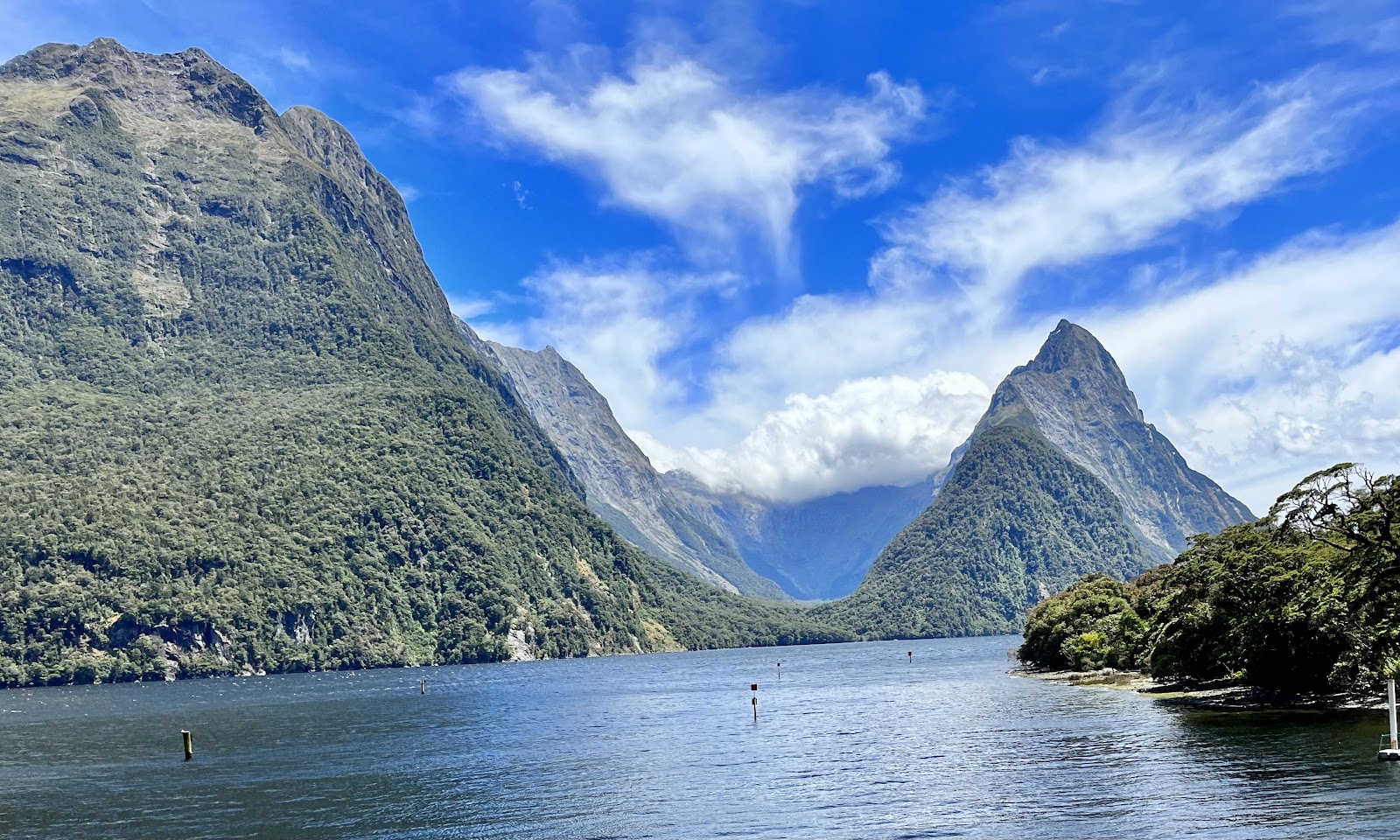Milford Sound / Piopiotahi