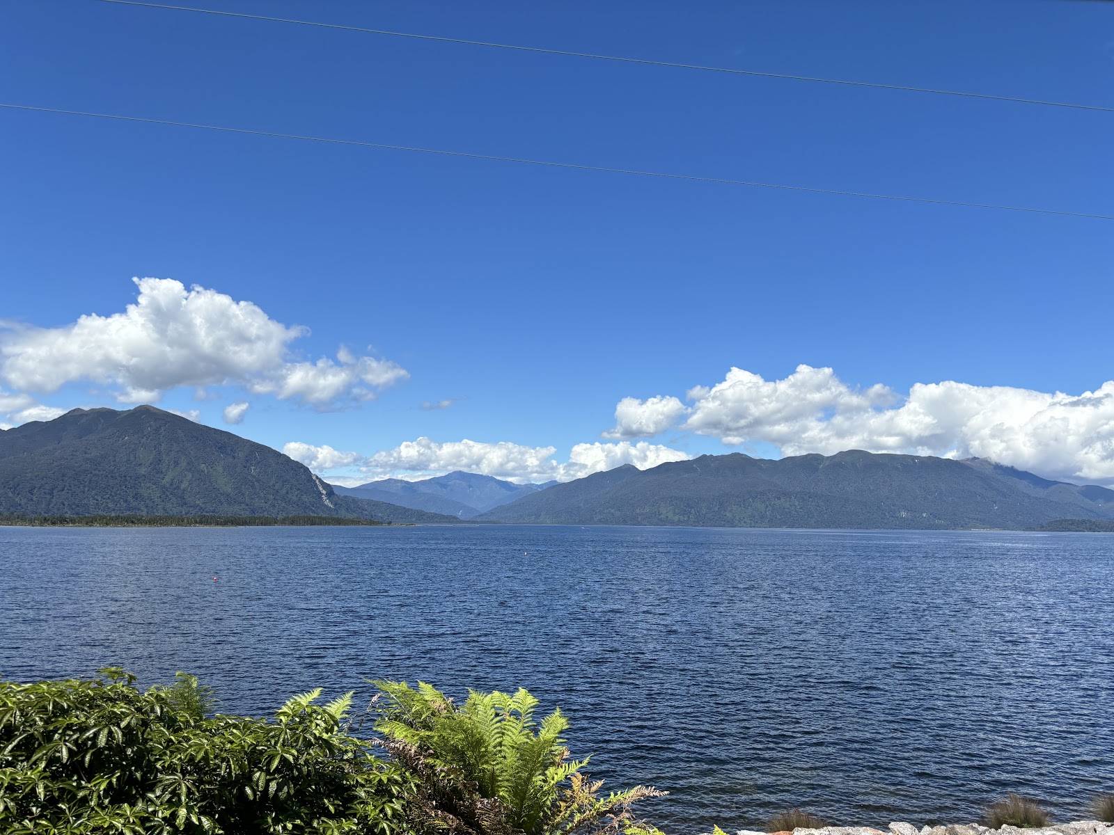 TranzAlpine & Coastal Pacific "Kiwi Rail"