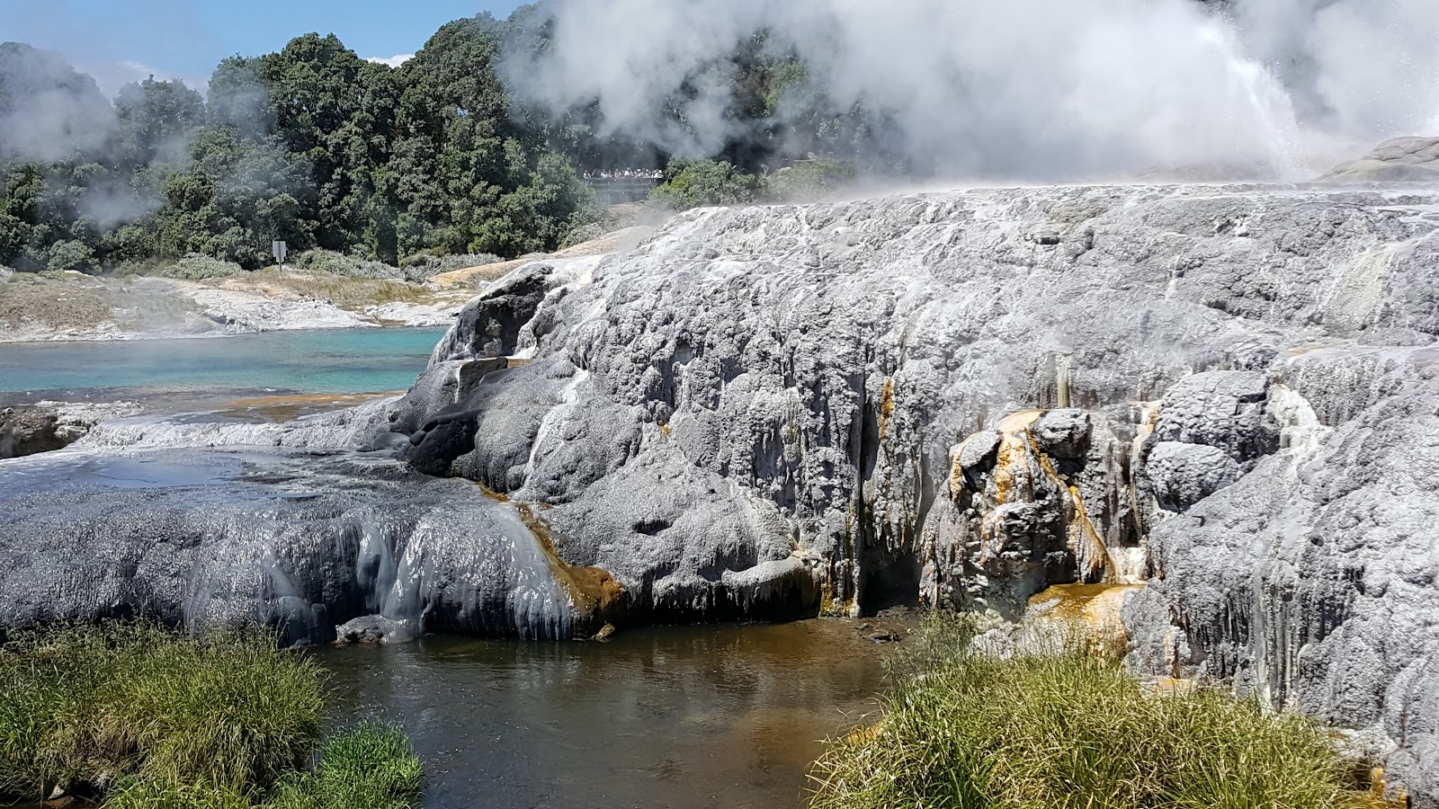 Geothermal Valley Te Puia