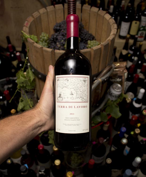 2011 Fattoria Galardi Terra di Lavoro (Magnum)