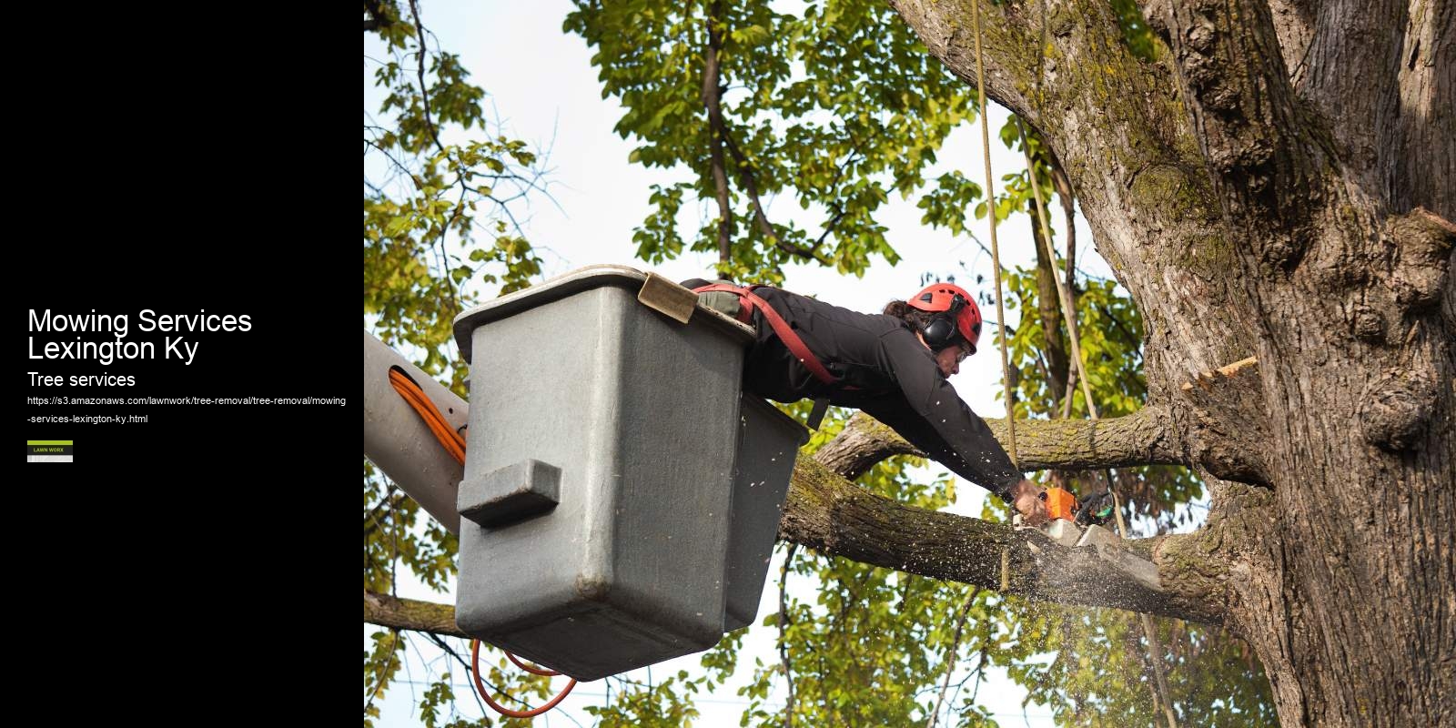 Mowing Services Lexington Ky