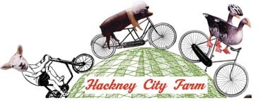 Hackney City Farm Credit: Gustavo Montes de Oca Hackney City Farm Credit: Gustavo Montes de Oca