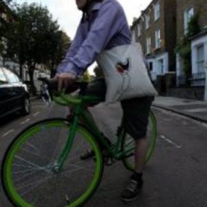dominicb003's picture'