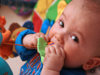 Istock_000004504238small_thumb