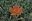 Study Abroad Canada Study Abroad Canada