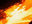 Web Design Web Design