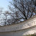 Study Abroad USA