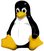 GNU & Linux