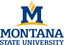 Montana State University - Bozeman