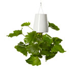 Sky-planters-by-boskke_2692_0