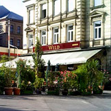 Restaurant_wild